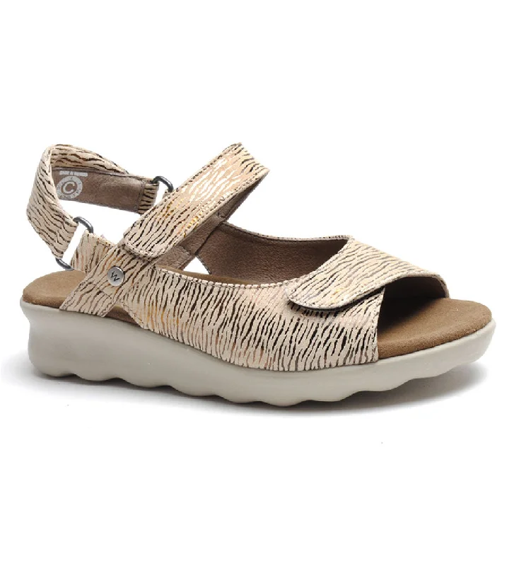 Beige Canals